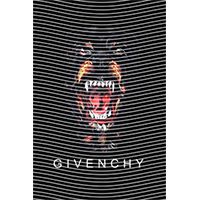 Brand Catalog-ZX 490